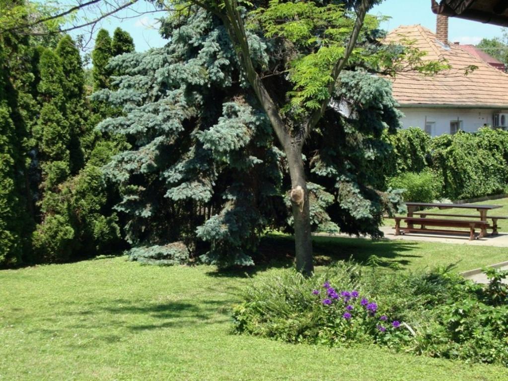 Gyongyvirag Vendeghaz Διαμέρισμα Balatonboglár Εξωτερικό φωτογραφία
